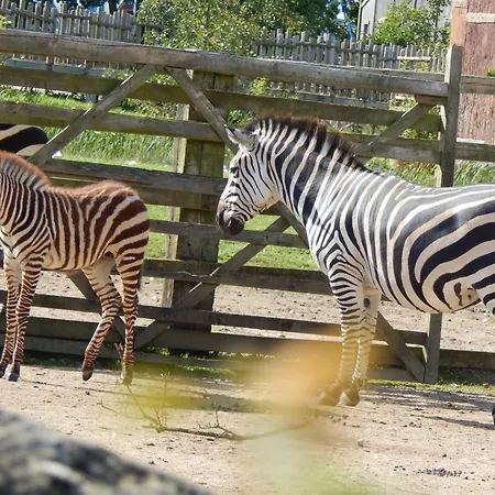 Flamingo Land - Cedar Wood Cw09 Holiday park