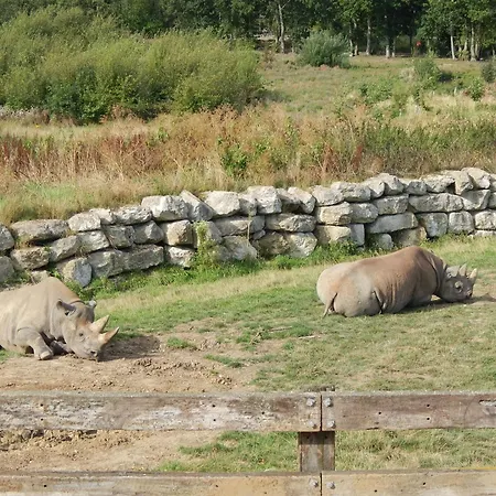 Flamingo Land - Cedar Wood Cw09 Holiday park