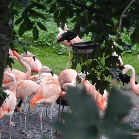 Village de vacances Flamingo Land - Cedar Wood Cw09